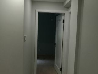 墙、顶面乳胶漆
