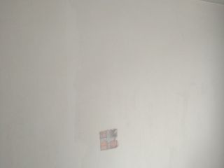 墙、顶面腻子批嵌