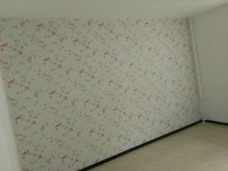 墙、顶面乳胶漆及墙纸铺贴