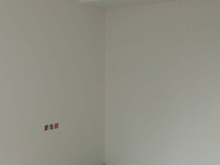 墙、顶面腻子批嵌