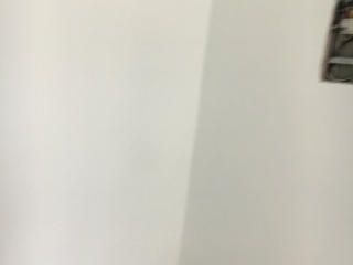 墙、顶面腻子批嵌
