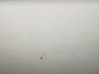 现场木制品造型施作