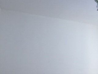 墙、顶面乳胶漆