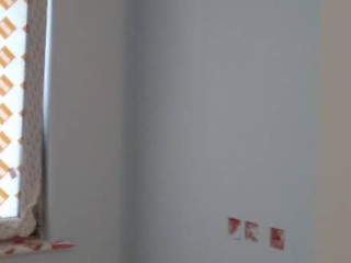 墙、顶面乳胶漆