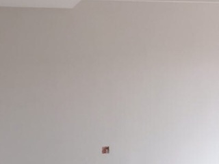 墙、顶面乳胶漆