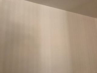 墙、顶面腻子批嵌