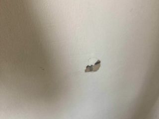 墙、顶面腻子批嵌