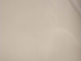 墙、顶面乳胶漆