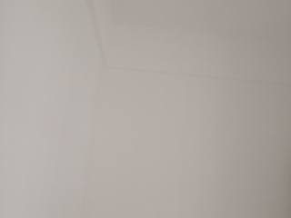 墙、顶面乳胶漆