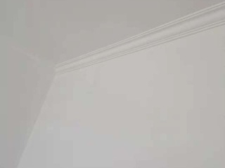 墙、顶面腻子批嵌