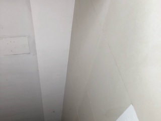 墙、顶面乳胶漆