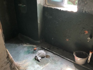 日常巡检