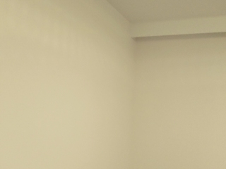 墙、顶面乳胶漆