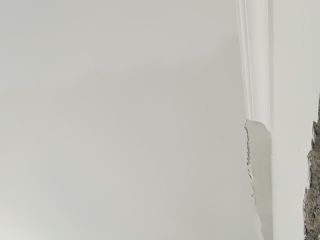 墙、顶面腻子批嵌