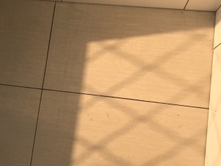 日常巡检