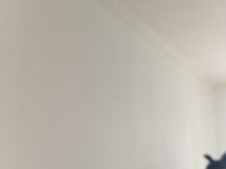 墙、顶面乳胶漆