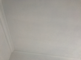 墙、顶面乳胶漆