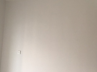 墙、顶面乳胶漆