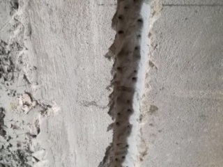 日常巡检