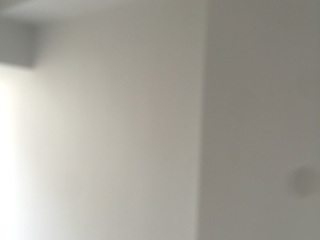 墙、顶面乳胶漆