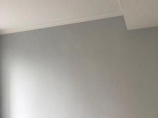 墙、顶面乳胶漆
