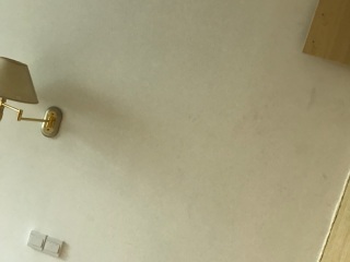 墙、顶面腻子批嵌