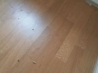 实木复合地板铺设