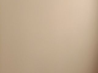 墙、顶面乳胶漆