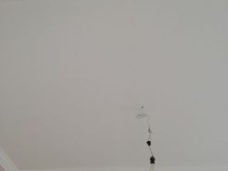 墙、顶面乳胶漆