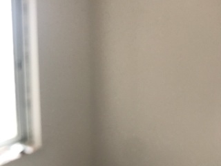 墙、顶面腻子批嵌