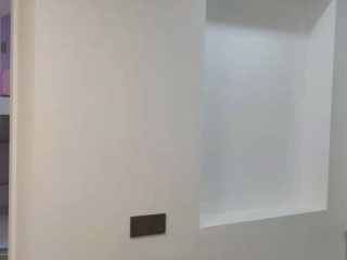 墙、顶面乳胶漆
