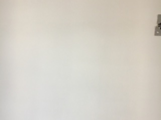现场木制品造型施作