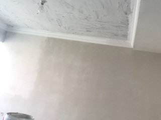 墙、顶面腻子批嵌