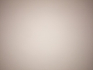现场木制品造型施作