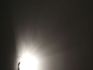 墙、顶面腻子批嵌