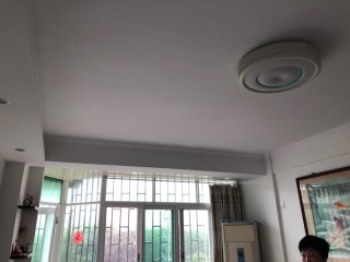 现场木制品造型施作