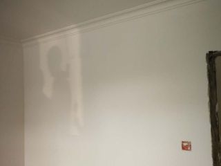 墙、顶面乳胶漆