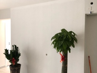墙、顶面腻子批嵌