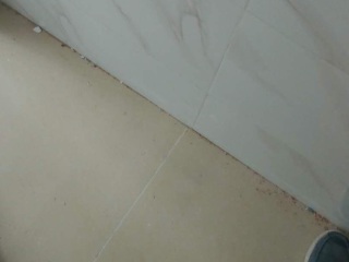 竣工验收