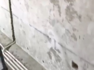 日常巡检