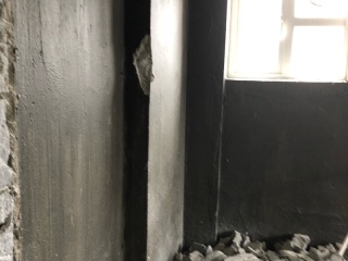 日常巡检