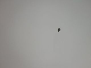 墙、顶面腻子批嵌