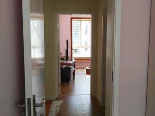 墙、顶面乳胶漆