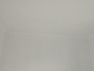 墙、顶面腻子批嵌