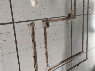 日常巡检