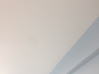 墙、顶面乳胶漆