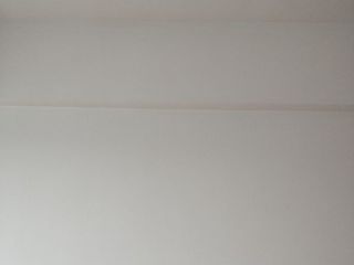 墙、顶面乳胶漆