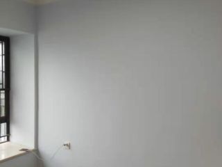 墙、顶面腻子批嵌