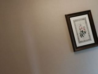 墙、顶面乳胶漆