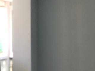墙、顶面乳胶漆